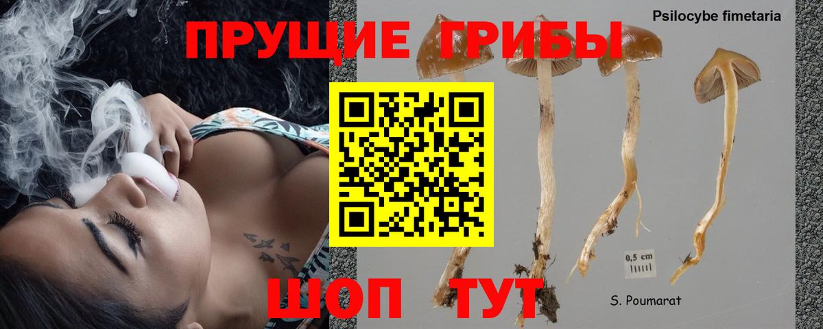 Железногорск  Галлюциногенные грибы Magic Shrooms  Вход с VPN 