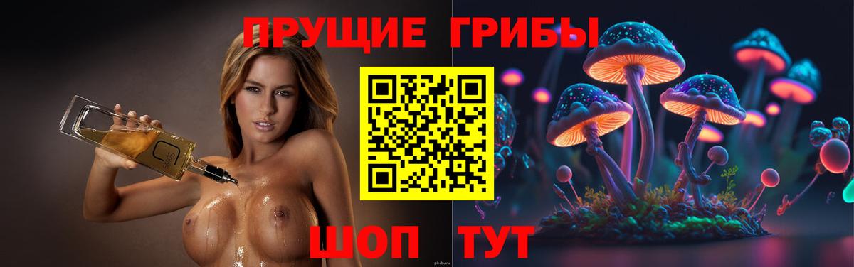 Псилоцибиновые грибы прущие грибы Железногорск